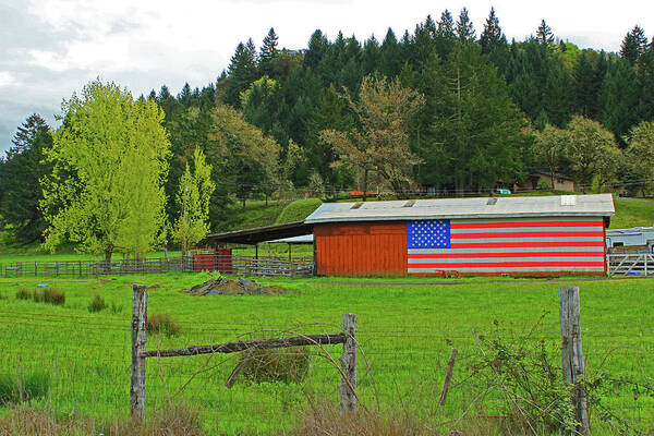 Roseburg Art Print featuring the photograph Roseburg Patriot by Dr Janine Williams