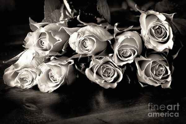 Roses Art Print featuring the photograph Roses on a table in black and white by Simon Bratt