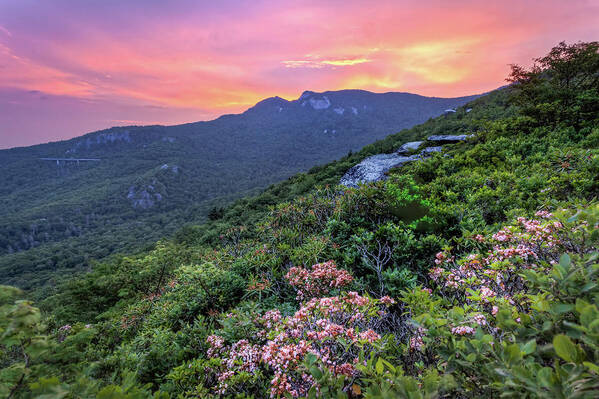 Blue Ridge Parkway Art Print featuring the photograph Rough Ridge Sunset by Paul Malcolm