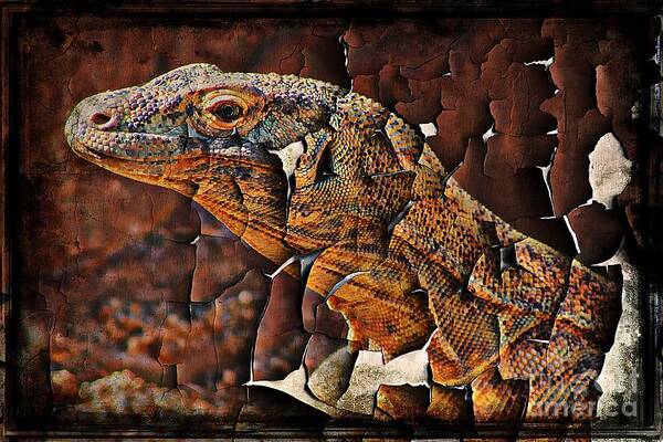 Komodo Art Print featuring the photograph Rough Stuff by Clare Bevan
