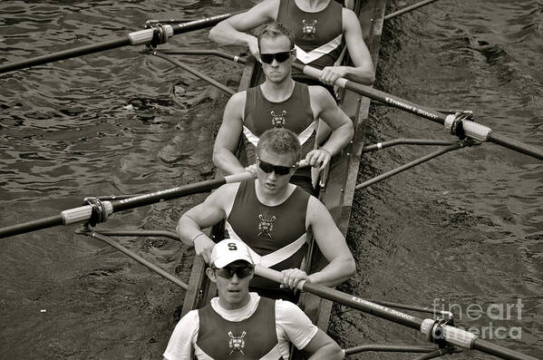 Athlete Art Print featuring the photograph Rowing at the Regatta by Jason Freedman