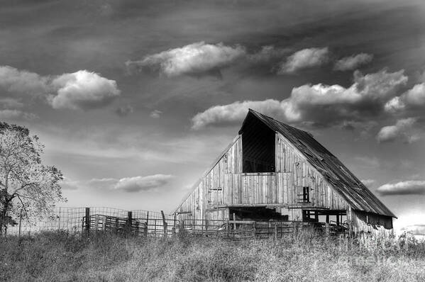 Barn Art Print featuring the photograph Rural by Thomas Danilovich