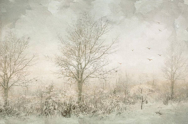 Landscape Art Print featuring the photograph Rural Winter Landscape by Julie Palencia