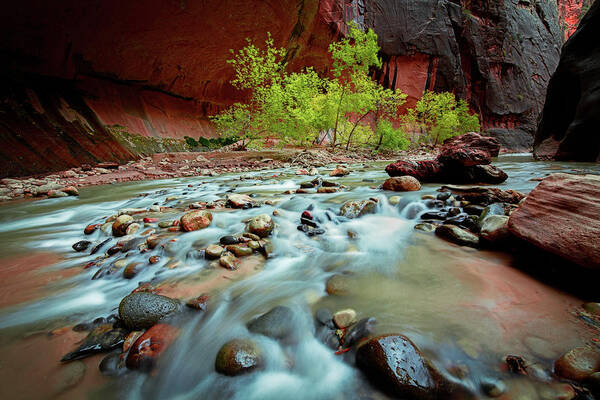 Amazing Art Print featuring the photograph Rush At Narrows by Edgars Erglis