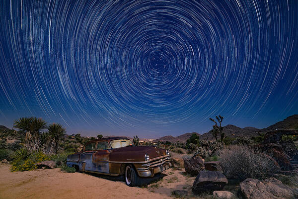 Joshua Tree Art Print featuring the photograph Rusting as the World Turns by Mark Rogers
