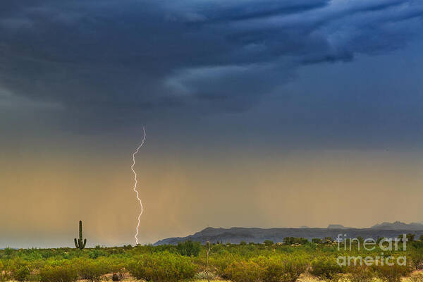 Arizonia Art Print featuring the photograph Saguaro with Lightning by Patti Schulze