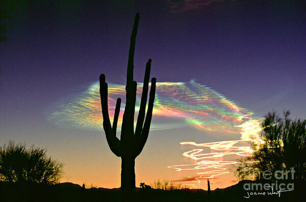 Missile Art Print featuring the photograph Saguaro with Missile Vapor Trails by Joanne West