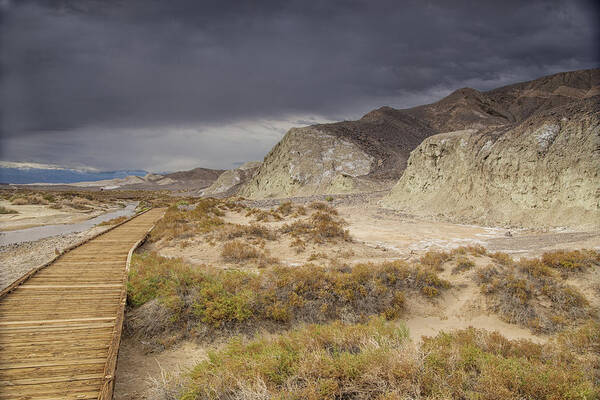 Death Valley National Park Art Print featuring the photograph Salt creek trail by Kunal Mehra