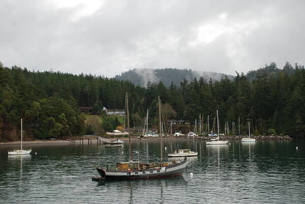 Boats Art Print featuring the photograph San Juan - Orcas Island by Carol Eliassen