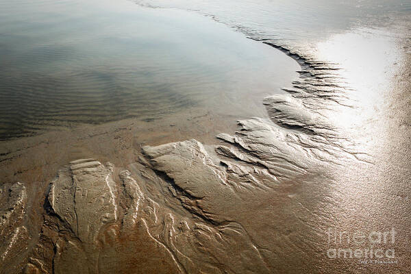 Florida Art Print featuring the photograph Sand Art No. 7 by Todd Blanchard