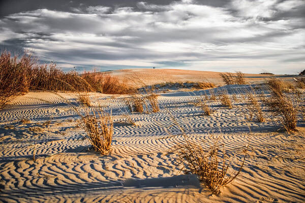 Landscapes Art Print featuring the photograph Sand Dune Wind Carvings by Donald Brown