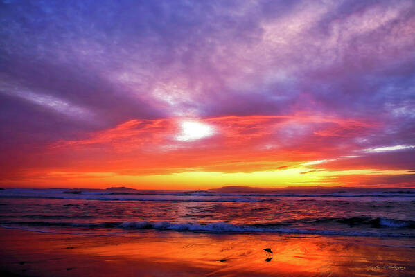 Sunset Art Print featuring the photograph Sandpiper Sunset Ventura California by John A Rodriguez