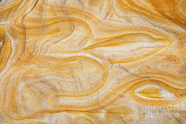 Om Art Print featuring the photograph Sandstone Aum by Tim Gainey