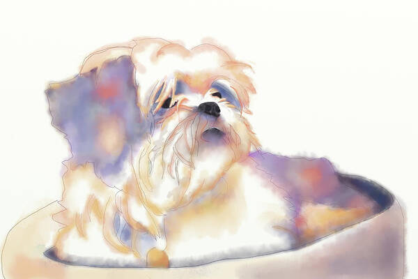 Dog Art Print featuring the digital art Sasi by April Burton