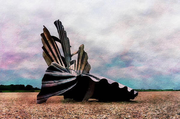 Scallop Art Print featuring the photograph Scallop Shell at Aldeburgh by John Paul Cullen