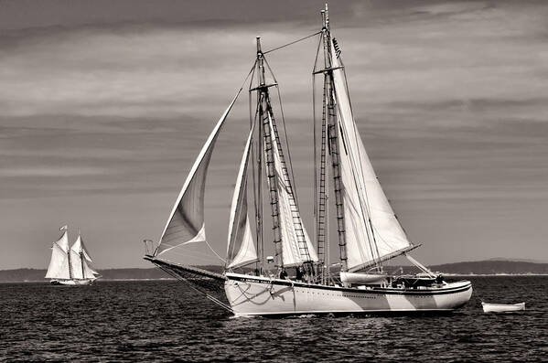  Art Print featuring the photograph Schooner American Eagle 2012 by Fred LeBlanc