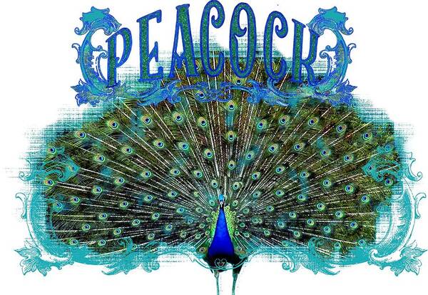 Peacock Art Print featuring the painting Scroll Swirl Art Deco Nouveau Peacock w Tail Feathers Spread by Audrey Jeanne Roberts