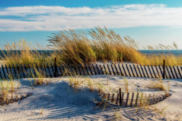 Beach Art Print featuring the photograph Sea Breeze by Cathy Kovarik