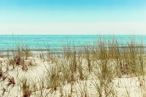 Beaches Art Print featuring the photograph Sea Breeze by Colleen Kammerer