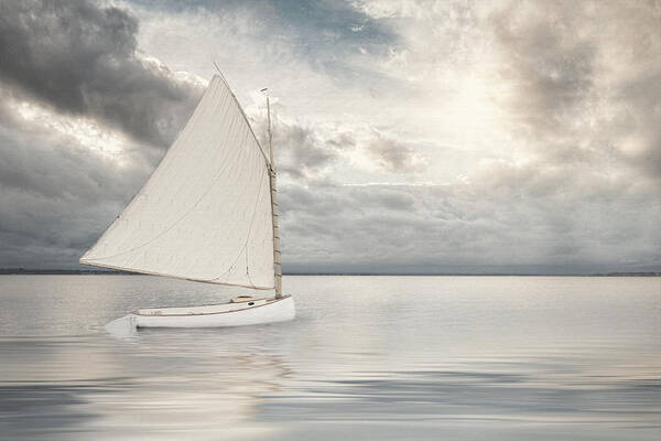 Sailboat Art Print featuring the photograph Sea Change by Robin-Lee Vieira