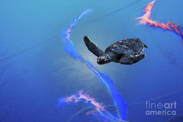 Sea Turtle Art Print featuring the digital art Sea Turtle by Lisa Redfern
