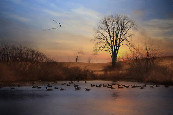 Canadian Geese Art Print featuring the photograph Sentinels of Spring by Lori Deiter