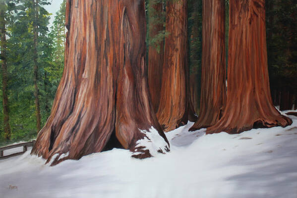 Snow Art Print featuring the painting Sequoias by Marg Wolf