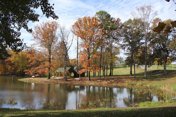 Pond Art Print featuring the photograph Serene Pond by Allen Nice-Webb