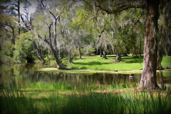 Lake Art Print featuring the photograph Serenity in Charleston by Patricia Montgomery