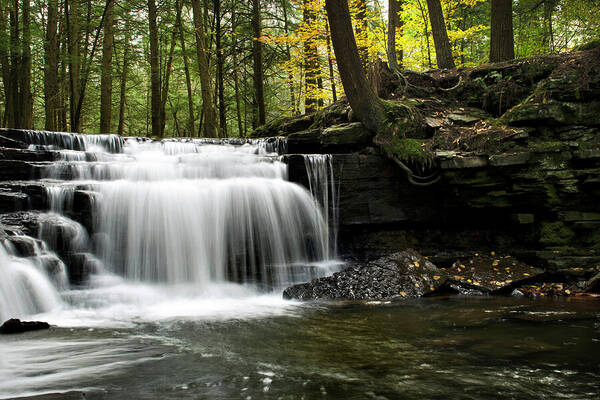 Waterfalls Art Print featuring the photograph Serenity Waterfalls Landscape by Christina Rollo