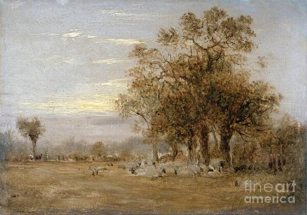 John Linnell - Sheep Grazing 1835 Art Print featuring the painting Sheep Grazing by MotionAge Designs