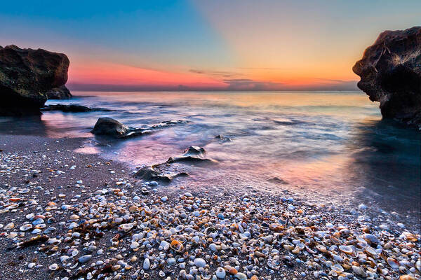 Palm Beach Art Print featuring the photograph Shell City by Debra and Dave Vanderlaan