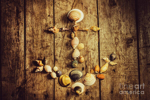 Anchor Art Print featuring the photograph Shell n anchor by Jorgo Photography