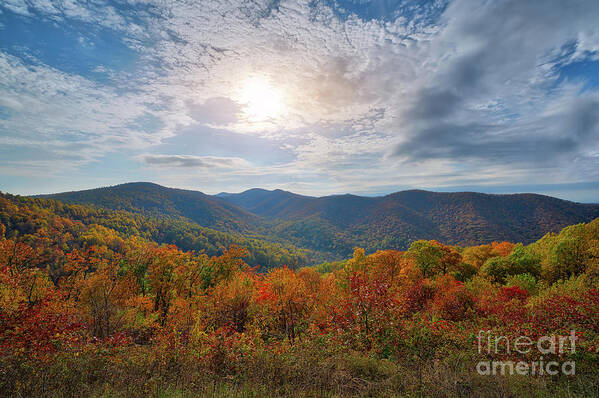 Shenandoah National Park Art Print featuring the photograph Shenandoah National Park Fall Foliage by Michael Ver Sprill