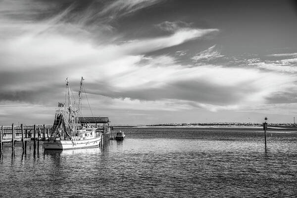 Art Art Print featuring the photograph Shrimping in Shemp by Jon Glaser