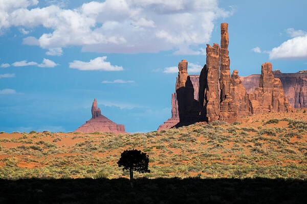 Monument Valley Art Print featuring the photograph Silhouetted Tree at Monument Valley by Mary Lee Dereske