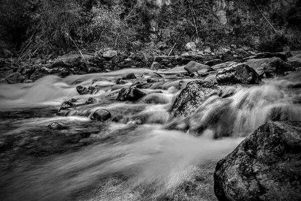 Stream Art Print featuring the photograph Silky Stream by Michael Brungardt