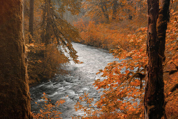 Water Art Print featuring the photograph Silver Creek by Don Schwartz