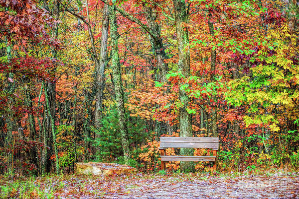 Bench Art Print featuring the photograph Sit and Watch The Leaves Turn by Kerri Farley