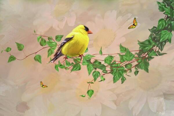 Male Gold Finch Art Print featuring the photograph Sitting Pretty by Mary Timman