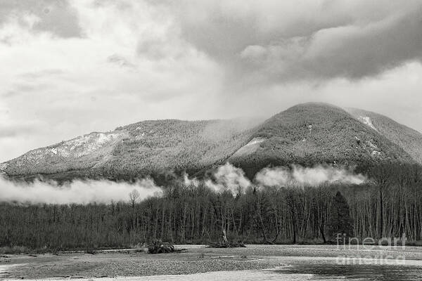 Skagit Valley Art Print featuring the photograph Skagit Valley by John Greco