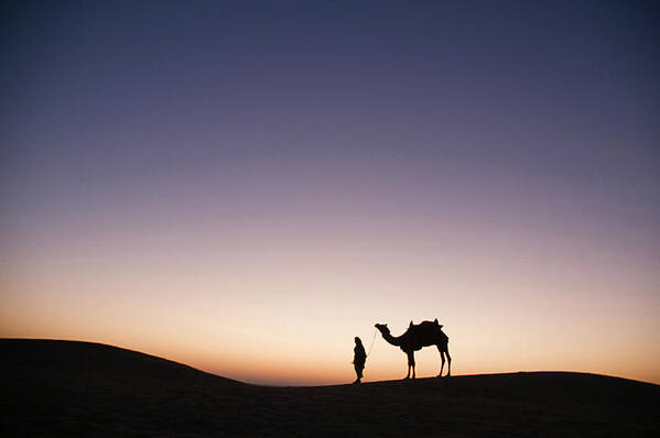 Camel Art Print featuring the photograph SKN 0860 Dawn at The Dunes by Sunil Kapadia