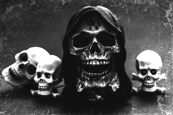  Halloween Art Print featuring the photograph Skulls by Martina Fagan