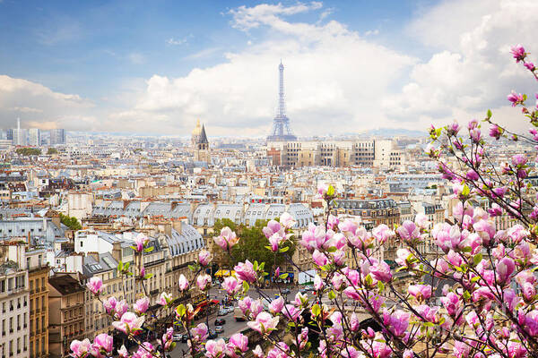 Paris Art Print featuring the photograph skyline of Paris with eiffel tower by Anastasy Yarmolovich