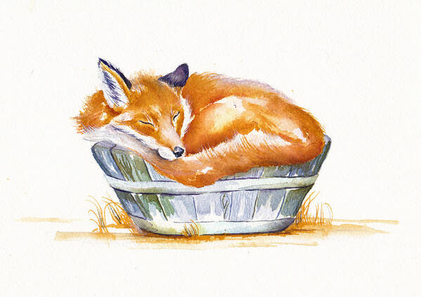 Fox Art Print featuring the painting Sleeping Fox by Debra Hall