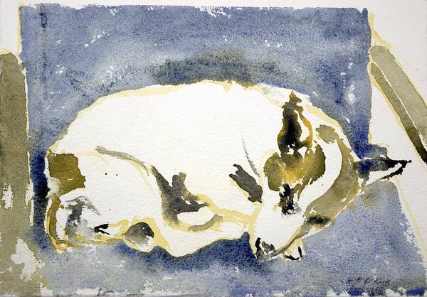  Art Print featuring the painting Sleeping Dog by Kathleen Barnes