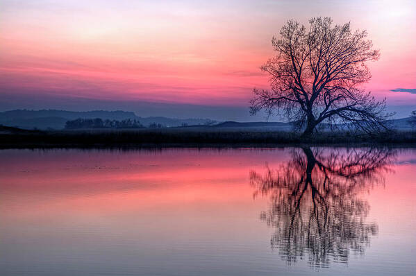 Pond Art Print featuring the photograph Smoky Sunrise by Fiskr Larsen