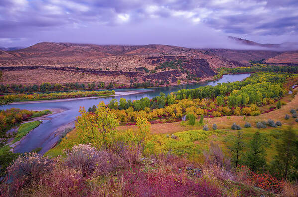 Adventure Art Print featuring the photograph Snake River Fall Beauty by Scott McGuire