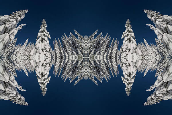 Frost Art Print featuring the digital art Snow Covered Trees Kaleidoscope by Pelo Blanco Photo