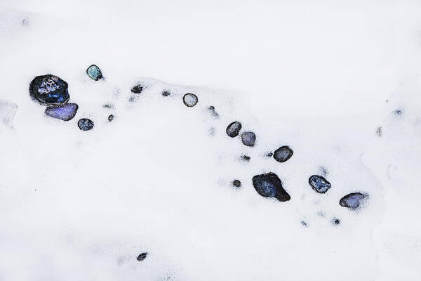 Theresa Tahara Art Print featuring the photograph Snow Pebbles Right by Theresa Tahara